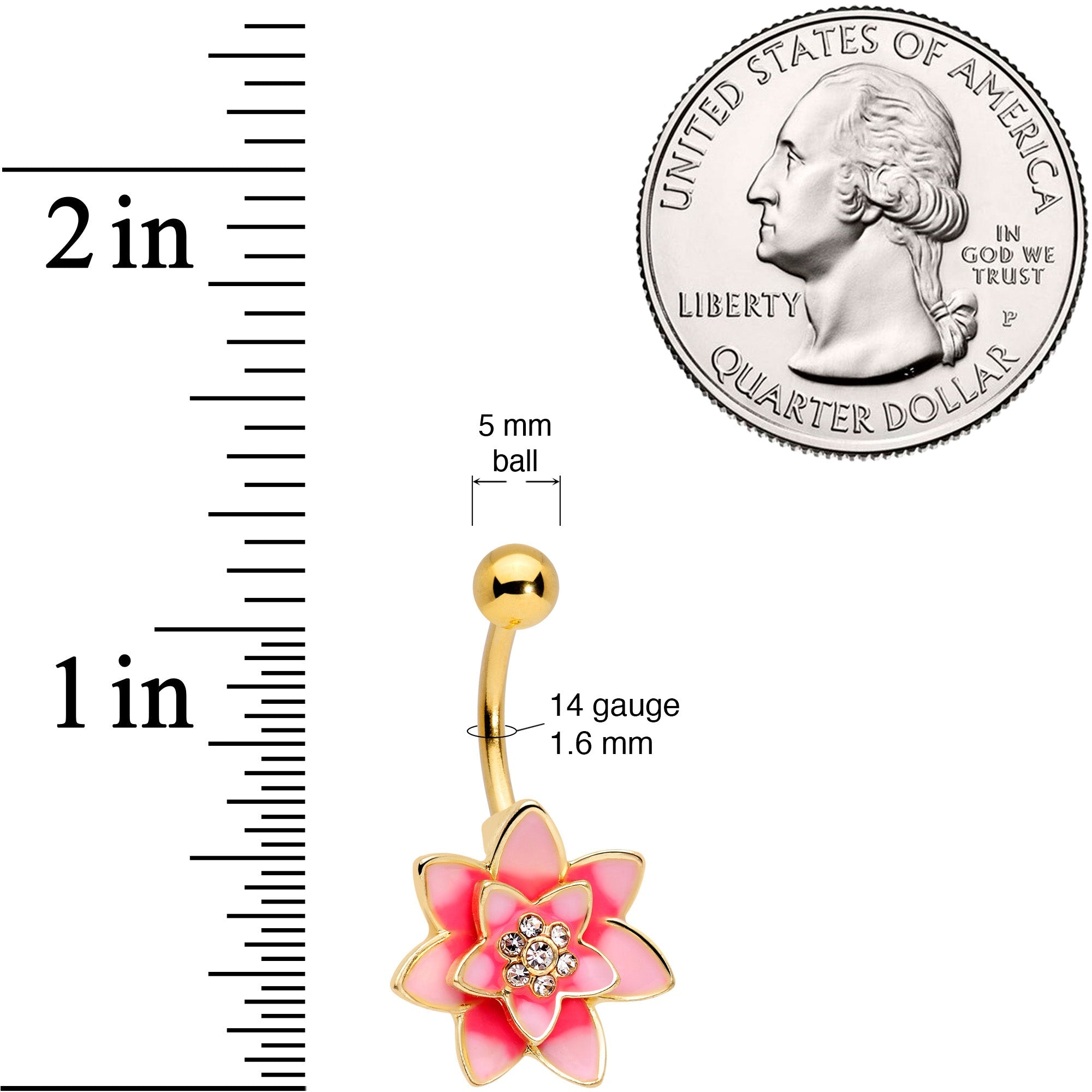 COZY