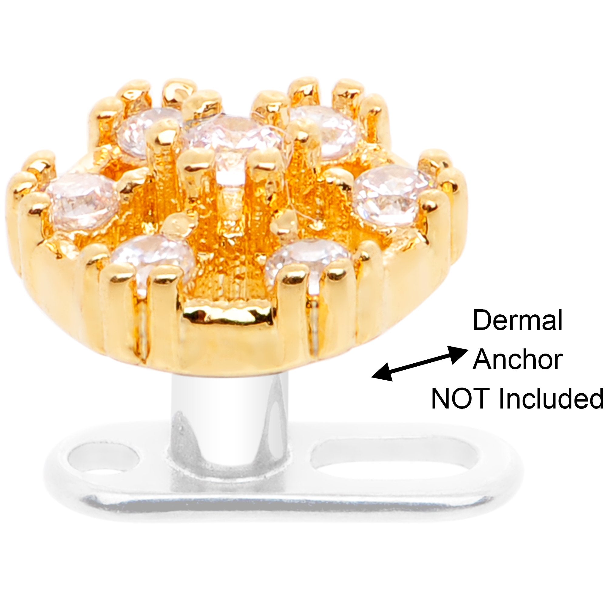 COZY