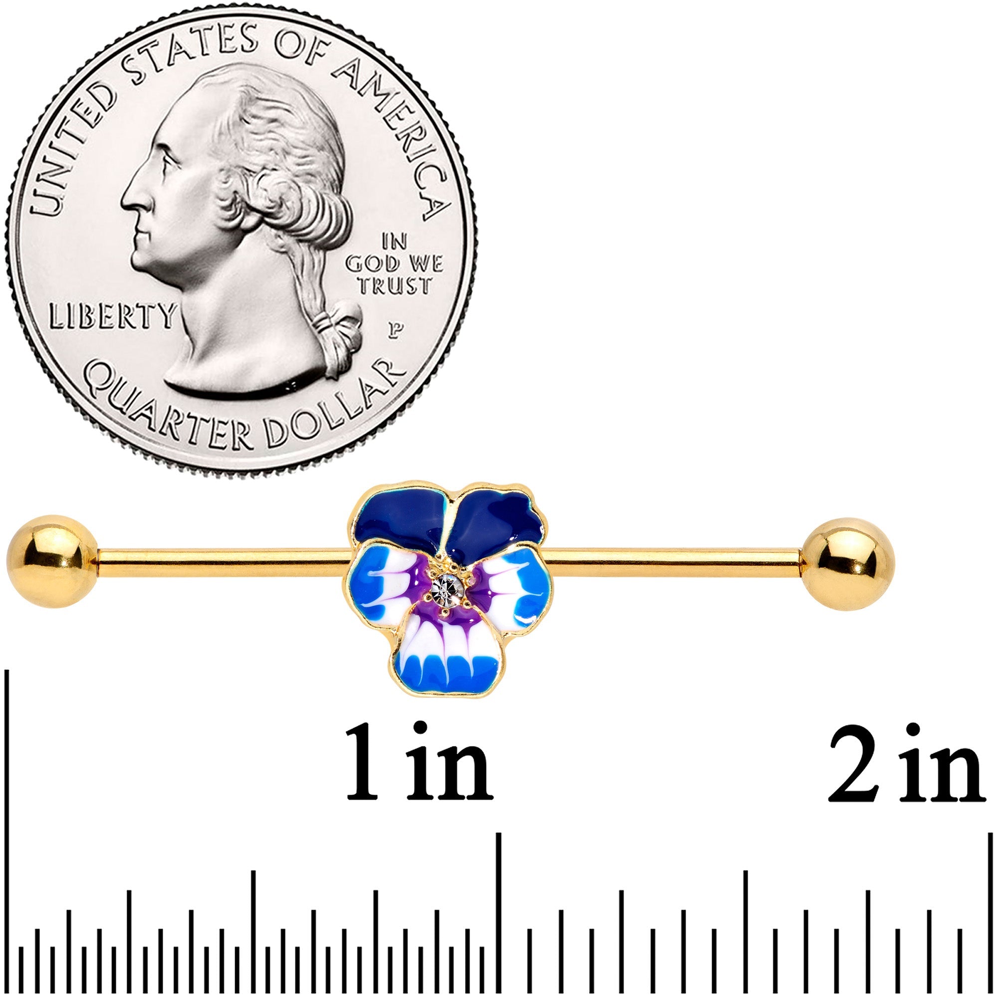 COZY